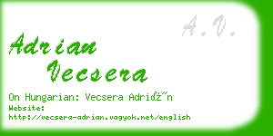 adrian vecsera business card